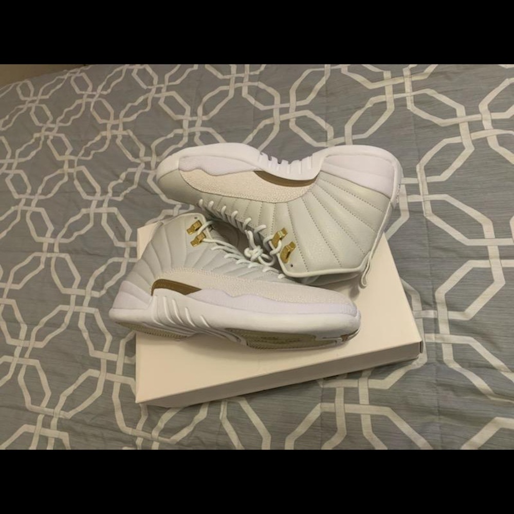 Jordan 12 retro OVO